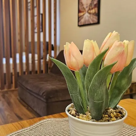 7 And 2 Quietly And Peaceful Place To Relax Apartman Szozopol