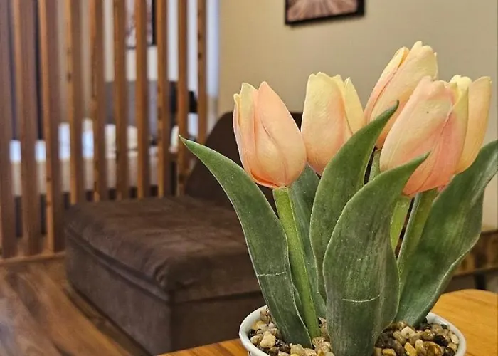 7 And 2 Quietly And Peaceful Place To Relax Daire Süzebolu